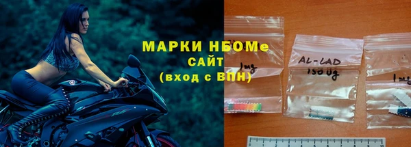 индика Осинники