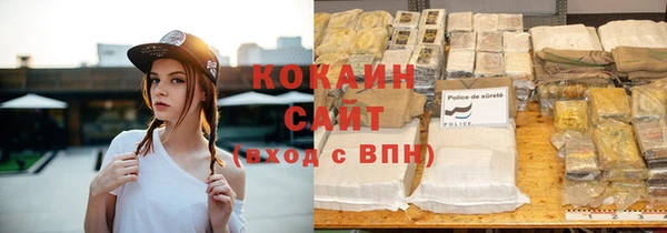 ПСИЛОЦИБИНОВЫЕ ГРИБЫ Весьегонск