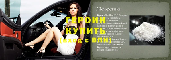 индика Осинники