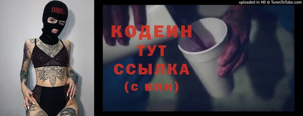 молекула духа Переславль-Залесский