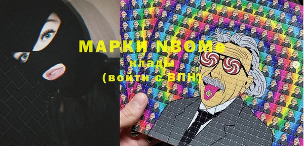 прущие грибы Покров