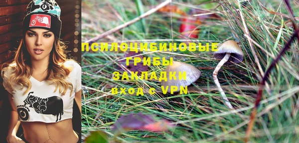 стаф Покачи