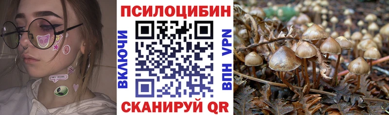 где купить   Салехард  Галлюциногенные грибы Psilocybine cubensis 